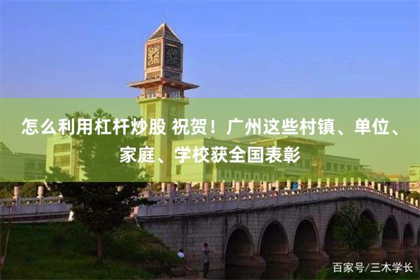 怎么利用杠杆炒股 祝贺！广州这些村镇、单位、家庭、学校获全国表彰