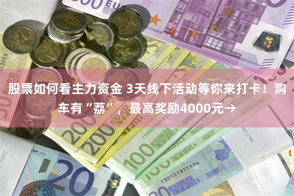 股票如何看主力资金 3天线下活动等你来打卡！购车有“荔”，最高奖励4000元→