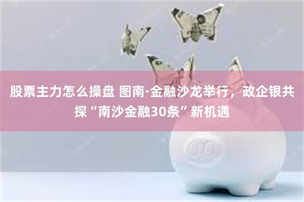 股票主力怎么操盘 图南·金融沙龙举行，政企银共探“南沙金融30条”新机遇