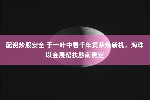 配资炒股安全 于一叶中看千年贡茶焕新机，海珠以会展帮扶黔南贵定