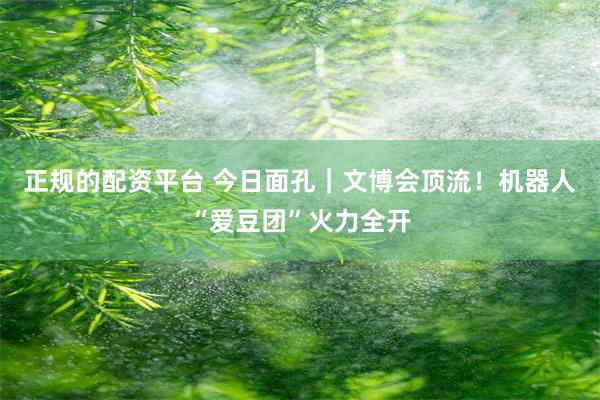 正规的配资平台 今日面孔｜文博会顶流！机器人“爱豆团”火力全开