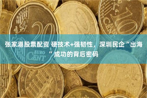 张家港股票配资 硬技术+强韧性，深圳民企“出海”成功的背后密码