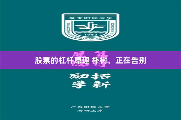 股票的杠杆原理 朴树，正在告别