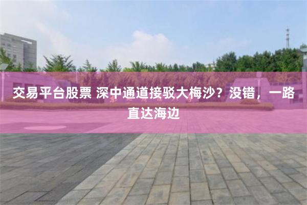 交易平台股票 深中通道接驳大梅沙？没错，一路直达海边
