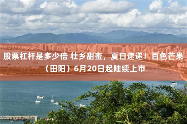 股票杠杆是多少倍 壮乡甜蜜，夏日速递！百色芒果（田阳）6月20日起陆续上市