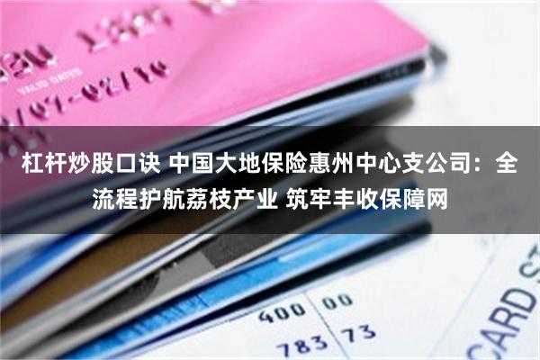 杠杆炒股口诀 中国大地保险惠州中心支公司：全流程护航荔枝产业 筑牢丰收保障网