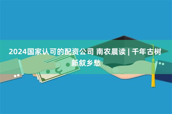 2024国家认可的配资公司 南农晨读 | 千年古树 新叙乡愁