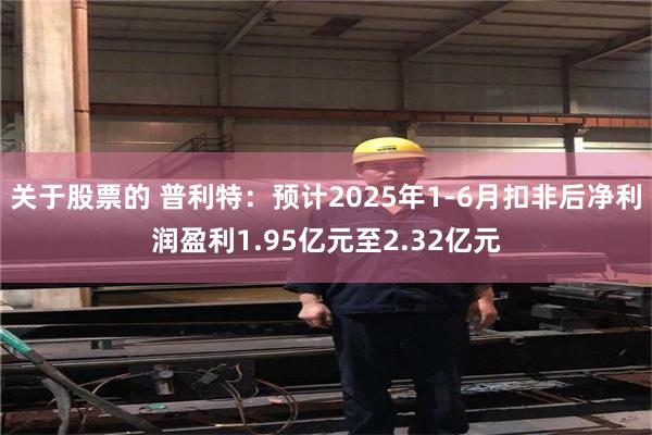 关于股票的 普利特：预计2025年1-6月扣非后净利润盈利1.95亿元至2.32亿元