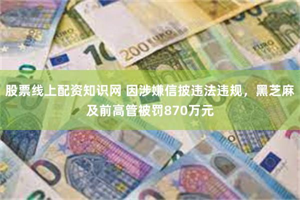 股票线上配资知识网 因涉嫌信披违法违规，黑芝麻及前高管被罚870万元