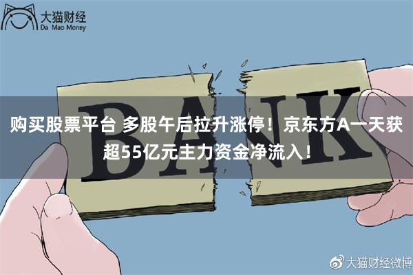 购买股票平台 多股午后拉升涨停！京东方A一天获超55亿元主力资金净流入！