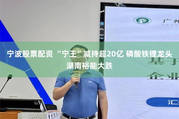宁波股票配资 “宁王”减持超20亿 磷酸铁锂龙头湖南裕能大跌