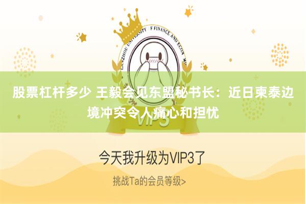 股票杠杆多少 王毅会见东盟秘书长：近日柬泰边境冲突令人痛心和担忧