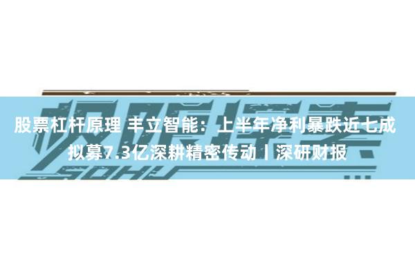 股票杠杆原理 丰立智能：上半年净利暴跌近七成 拟募7.3亿深耕精密传动丨深研财报
