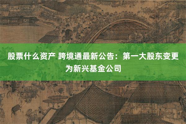 股票什么资产 跨境通最新公告：第一大股东变更为新兴基金公司