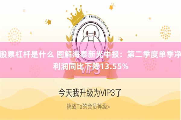 股票杠杆是什么 图解海泰新光中报：第二季度单季净利润同比下降13.55%