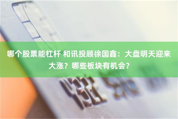 哪个股票能杠杆 和讯投顾徐国鑫：大盘明天迎来大涨？哪些板块有机会？