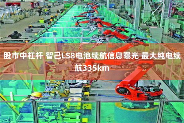 股市中杠杆 智己LS8电池续航信息曝光 最大纯电续航335km