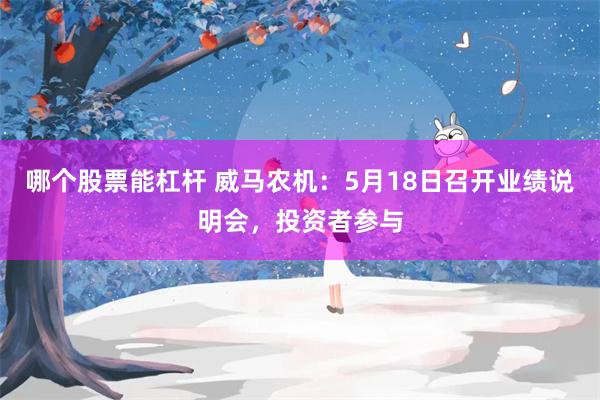 哪个股票能杠杆 威马农机:5月18日召开业绩说明会,投资者参与