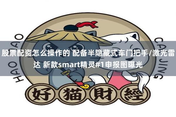 股票配资怎么操作的 配备半隐藏式车门把手/激光雷达 新款smart精灵#1申报图曝光
