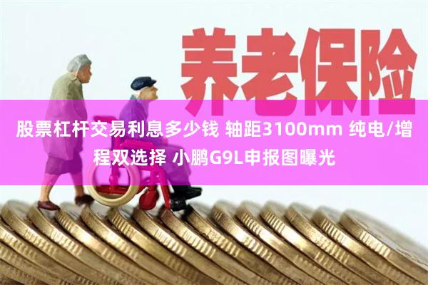 股票杠杆交易利息多少钱 轴距3100mm 纯电/增程双选择 小鹏G9L申报图曝光