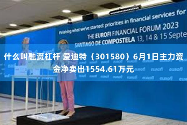 什么叫融资杠杆 爱迪特（301580）6月1日主力资金净卖出1554.61万元