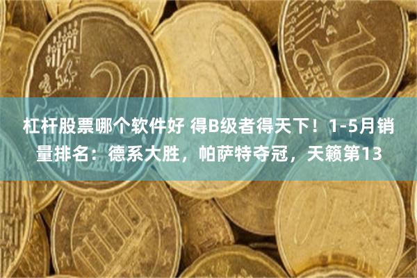 杠杆股票哪个软件好 得B级者得天下！1-5月销量排名：德系大胜，帕萨特夺冠，天籁第13