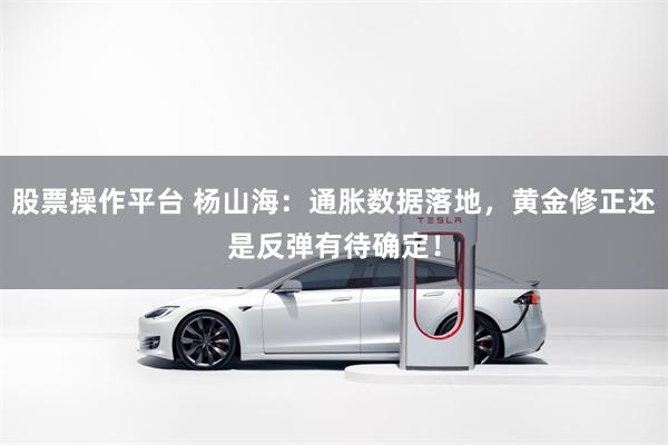 股票操作平台 杨山海：通胀数据落地，黄金修正还是反弹有待确定！