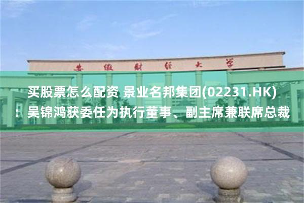 买股票怎么配资 景业名邦集团(02231.HK)：吴锦鸿获委任为执行董事、副主席兼联席总裁
