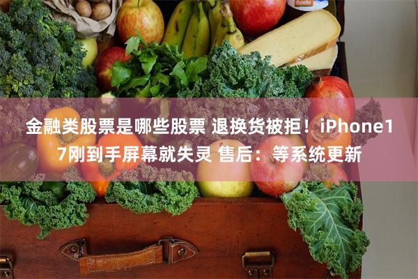 金融类股票是哪些股票 退换货被拒！iPhone17刚到手屏幕就失灵 售后：等系统更新