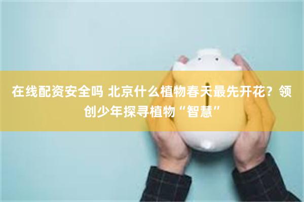 在线配资安全吗 北京什么植物春天最先开花？领创少年探寻植物“智慧”