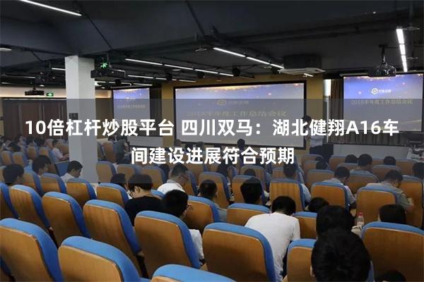 10倍杠杆炒股平台 四川双马：湖北健翔A16车间建设进展符合预期