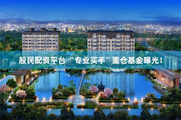 股民配资平台 “专业买手”重仓基金曝光！