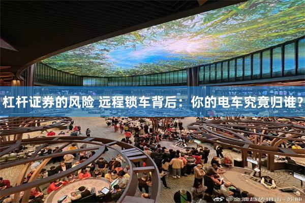 杠杆证券的风险 远程锁车背后：你的电车究竟归谁？
