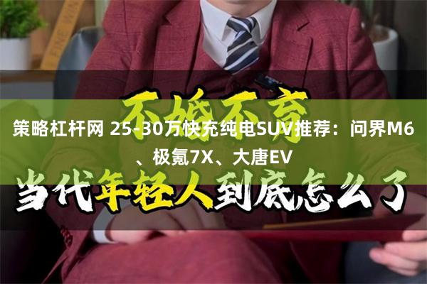 策略杠杆网 25-30万快充纯电SUV推荐：问界M6、极氪7X、大唐EV
