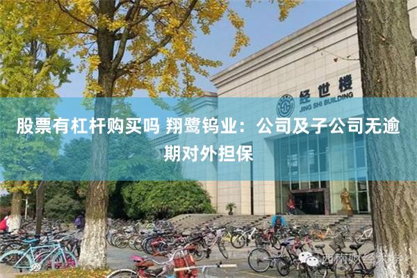 股票有杠杆购买吗 翔鹭钨业：公司及子公司无逾期对外担保