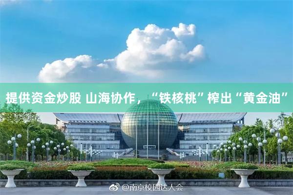 提供资金炒股 山海协作，“铁核桃”榨出“黄金油”