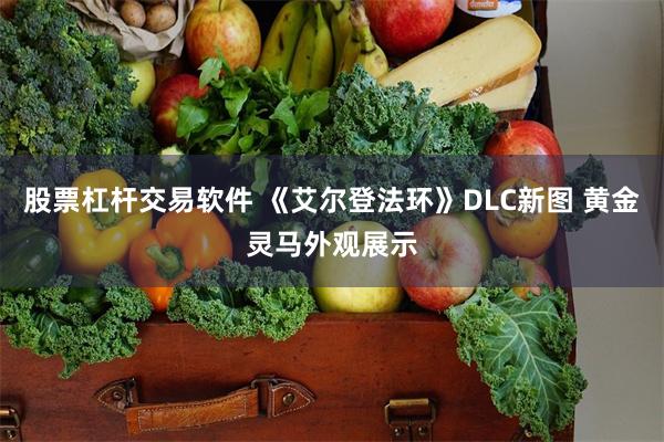 股票杠杆交易软件 《艾尔登法环》DLC新图 黄金灵马外观展示