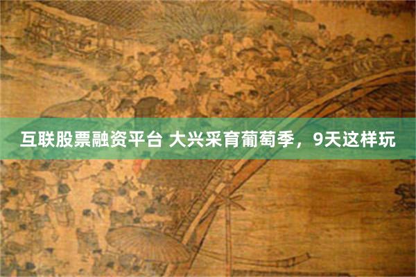 互联股票融资平台 大兴采育葡萄季，9天这样玩