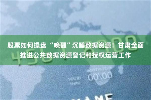 股票如何操盘 “唤醒”沉睡数据资源！甘肃全面推进公共数据资源登记和授权运营工作