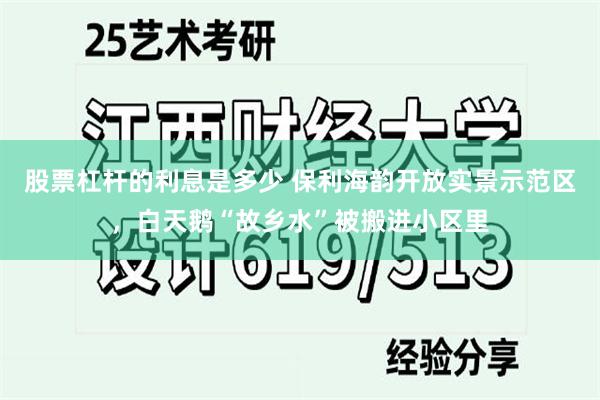 股票杠杆的利息是多少 保利海韵开放实景示范区，白天鹅“故乡水”被搬进小区里
