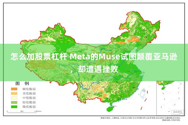 怎么加股票杠杆 Meta的Muse试图颠覆亚马逊，却遭遇挫败