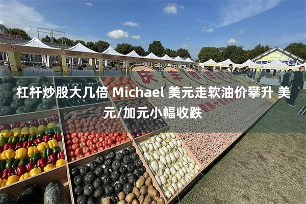 杠杆炒股大几倍 Michael 美元走软油价攀升 美元/加元小幅收跌