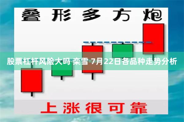 股票杠杆风险大吗 栾雪 7月22日各品种走势分析