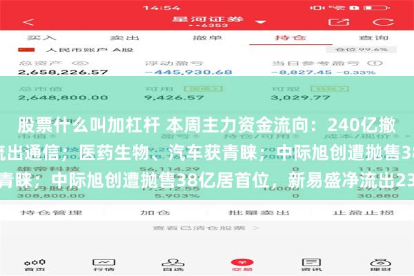 股票什么叫加杠杆 本周主力资金流向：240亿撤离电子行业，123亿净流出通信；医药生物、汽车获青睐；中际旭创遭抛售38亿居首位，新易盛净流出23亿