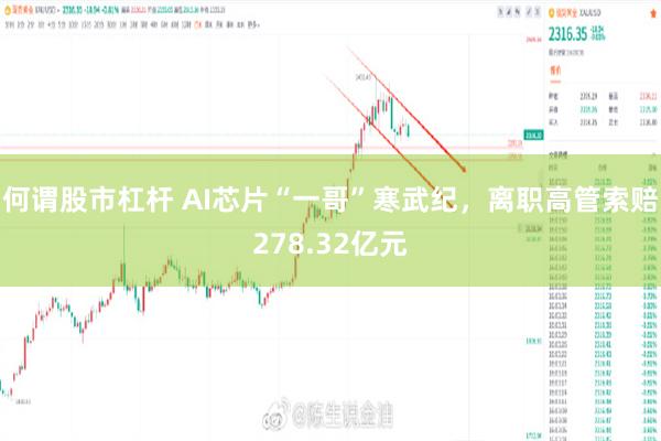 何谓股市杠杆 AI芯片“一哥”寒武纪，离职高管索赔278.32亿元