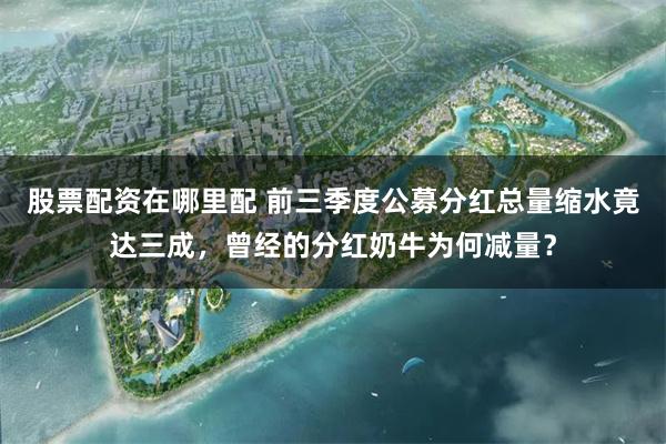 股票配资在哪里配 前三季度公募分红总量缩水竟达三成，曾经的分红奶牛为何减量？