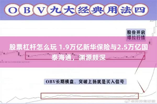 股票杠杆怎么玩 1.9万亿新华保险与2.5万亿国泰海通，渊源颇深