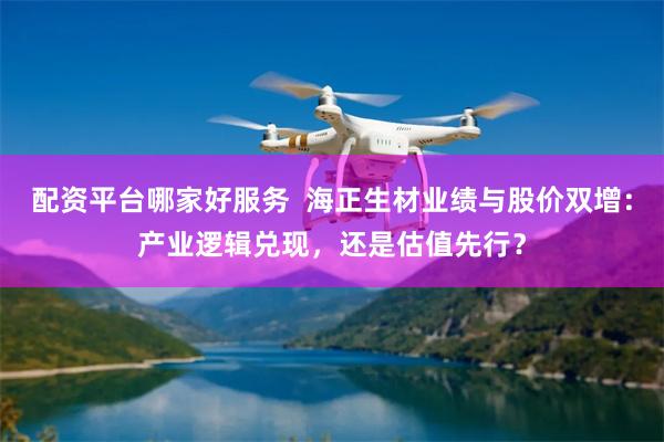 配资平台哪家好服务  海正生材业绩与股价双增：产业逻辑兑现，还是估值先行？