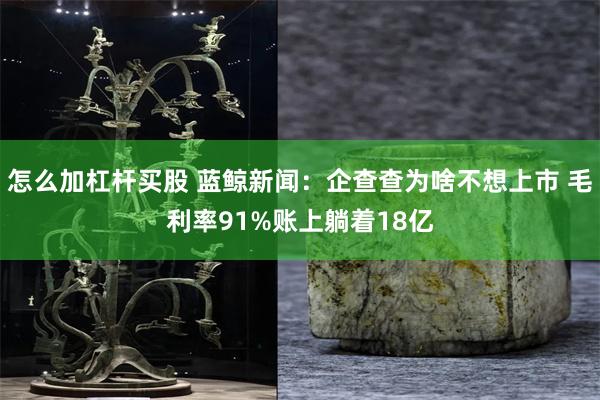 怎么加杠杆买股 蓝鲸新闻：企查查为啥不想上市 毛利率91%账上躺着18亿