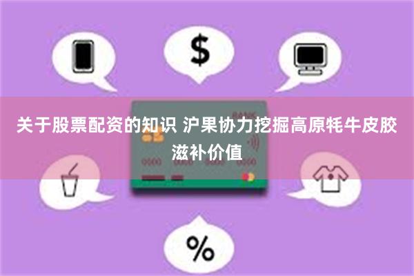 关于股票配资的知识 沪果协力挖掘高原牦牛皮胶滋补价值
